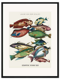 Gerahmter Kunstdruck Exotische Fische, vintage