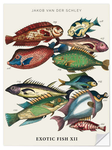 Autocolante decorativo Vintage exotic fish