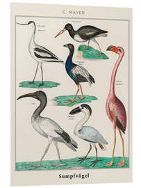 Tableau en PVC Vintage swamp birds