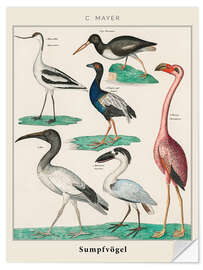 Wall sticker Vintage swamp birds