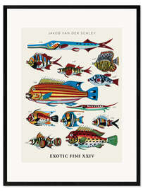 Impression artistique encadrée Vintage Exotic Fish