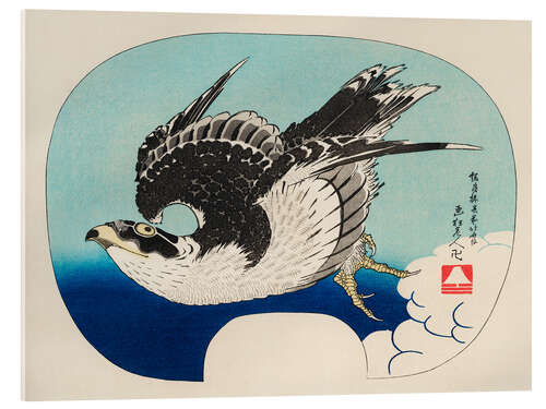 Acrylglas print Hawk in Flight