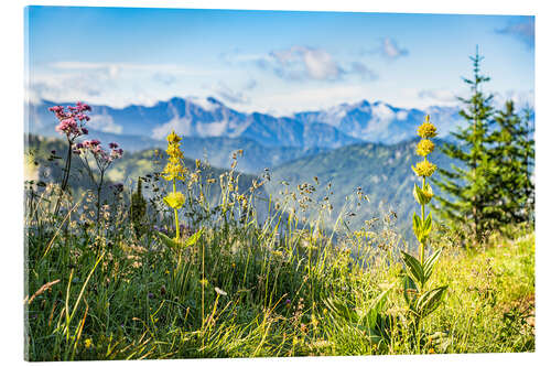 Acrylglas print Alpine panorama with wildflowers