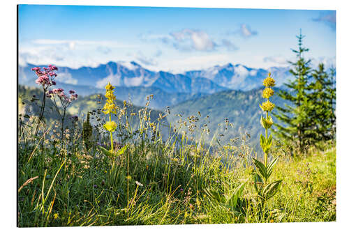 Quadro em alumínio Alpine panorama with wildflowers