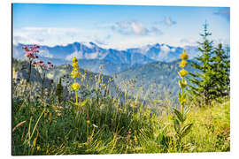 Aluminiumtavla Alpine panorama with wildflowers