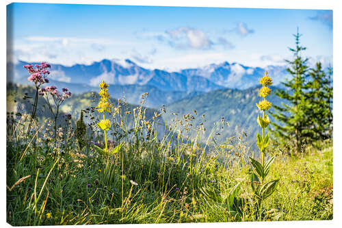 Stampa su tela Alpine panorama with wildflowers