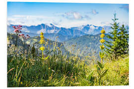 Foam board print Alpine panorama with wildflowers