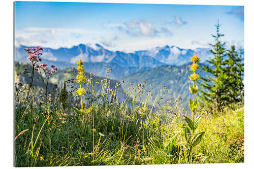 Cuadro de plexi-alu Alpine panorama with wildflowers