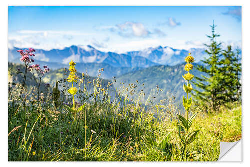 Sisustustarra Alpine panorama with wildflowers