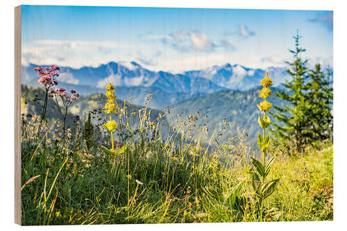 Wood print Alpine panorama with wildflowers