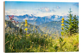 Quadro de madeira Alpine panorama with wildflowers