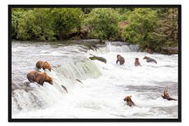 Gerahmter Kunstdruck Braunbären an den Brooks Falls in Alaska