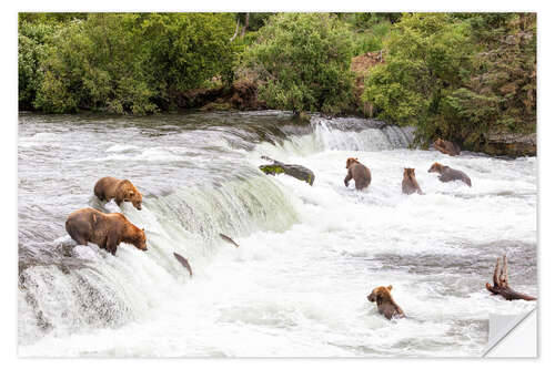 Sticker mural Brown bears at Brooks Falls in Alaska