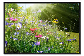 Gerahmter Kunstdruck Auf einer sonnigen Wildblumenwiese