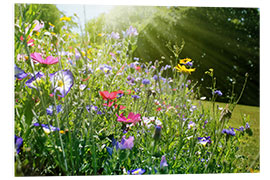 Foam board print On a sunny wildflower meadow