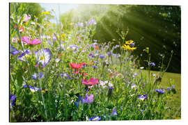 Magnettafel Auf einer sonnigen Wildblumenwiese