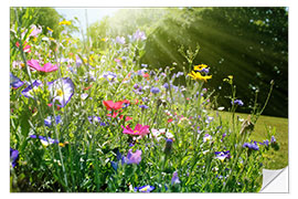 Selvklæbende plakat On a sunny wildflower meadow