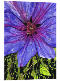 Acrylic print Purple Clematis Flower