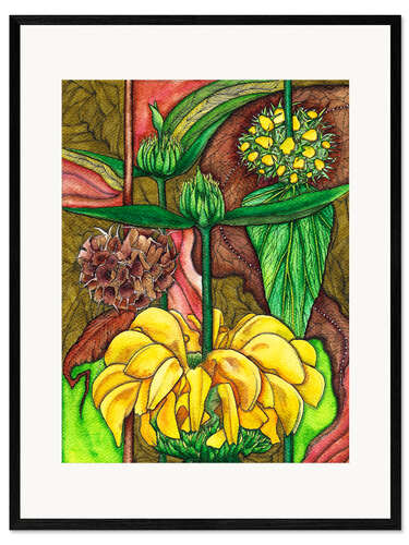 Framed art print Jerusalem Sage Flowers