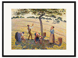 Framed art print Apple Harvest in Autumn