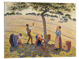 Gallery print Apple Harvest in Autumn