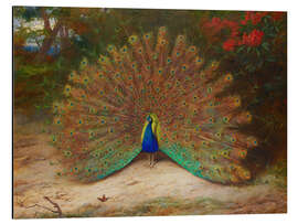 Aluminium print The Peacock and the Butterfly