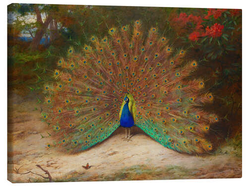 Canvas-taulu The Peacock and the Butterfly