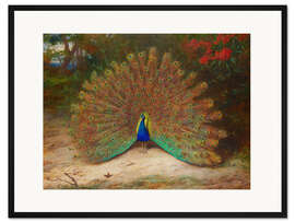 Gerahmter Kunstdruck Der Pfau und der Schmetterling