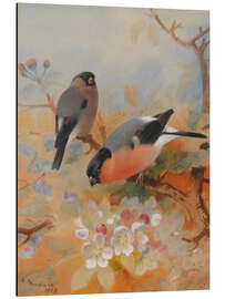 Aluminium print Two bullfinches on blossoming branches