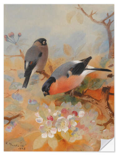 Sticker mural Two bullfinches on blossoming branches