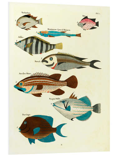 Foam board print Fishes - Vintage Plate 21