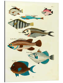 Magnettafel Fische - Vintage Plate 21