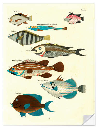 Självhäftande poster Fishes - Vintage Plate 21