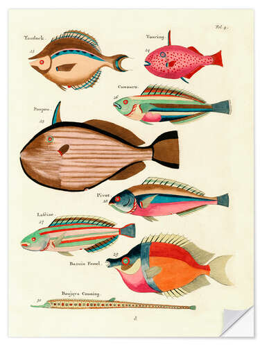 Selvklebende plakat Fishes - Vintage Plate 27