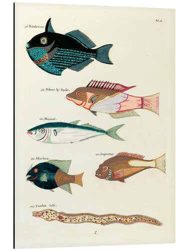 Alubild Fische - Vintage Plate 55