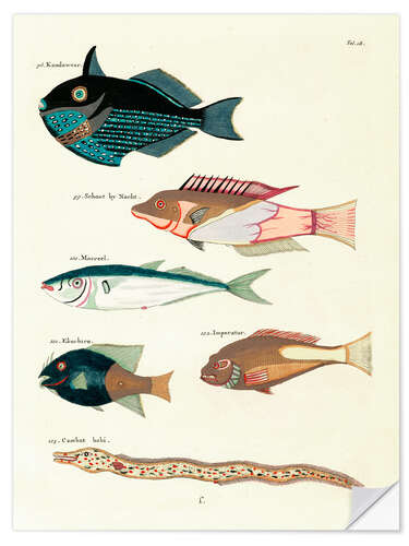 Sisustustarra Fishes - Vintage Plate 55