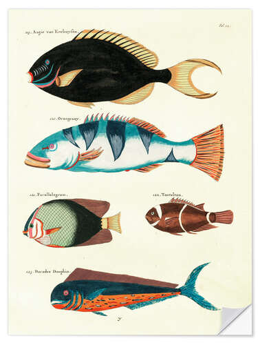 Selvklebende plakat Fishes - Vintage Plate 63