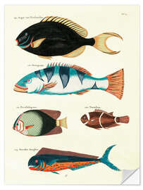 Wall sticker Fishes - Vintage Plate 63