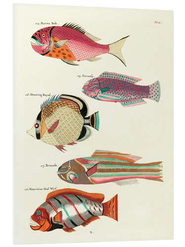 Tableau en PVC Poissons - Vintage Plate 61