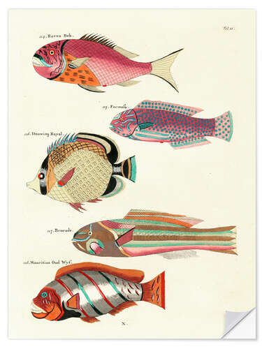 Selvklebende plakat Fishes - Vintage Plate 61