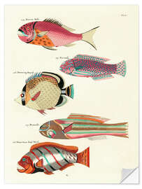 Vinilo para la pared Fishes - Vintage Plate 61