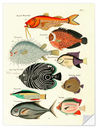 Selvklebende plakat Fishes - Vintage Plate 29