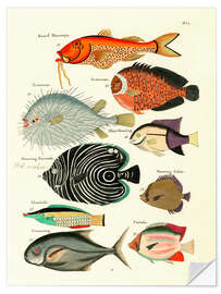 Selvklebende plakat Fishes - Vintage Plate 29