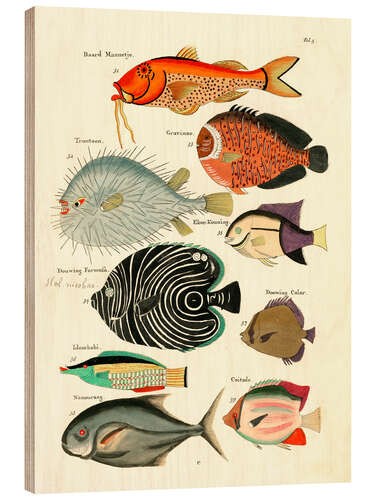 Puutaulu Fishes - Vintage Plate 29