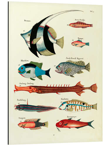 Tableau en aluminium Poissons - Vintage Plate 25