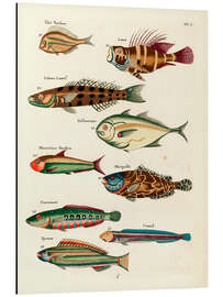 Tableau en aluminium Poissons - Vintage Plate 31