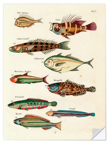 Wandsticker Fische - Vintage Plate 31