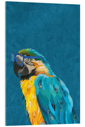 Acrylic print Macaw with Glasses in Profile