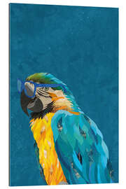 Gallery print Macaw with Glasses in Profile