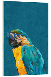 Stampa su legno Macaw with Glasses in Profile